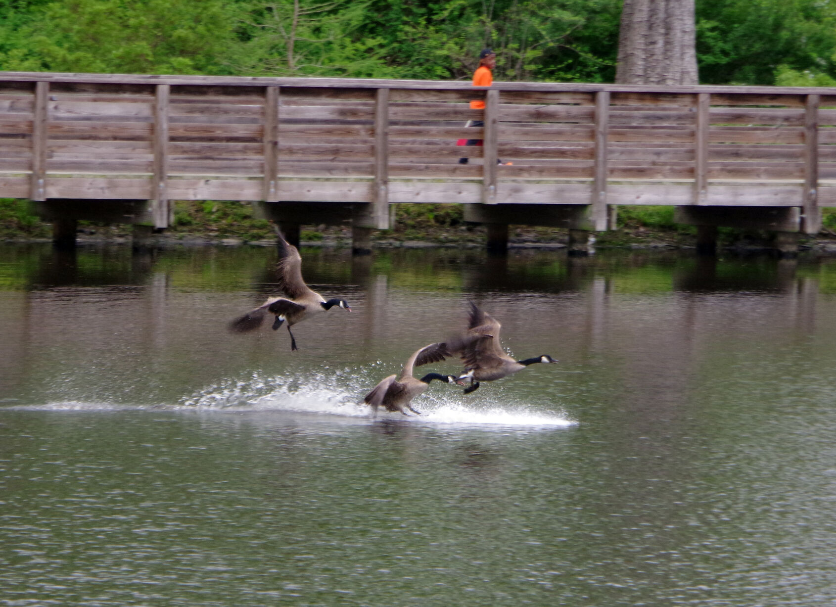 Fishing Derby
